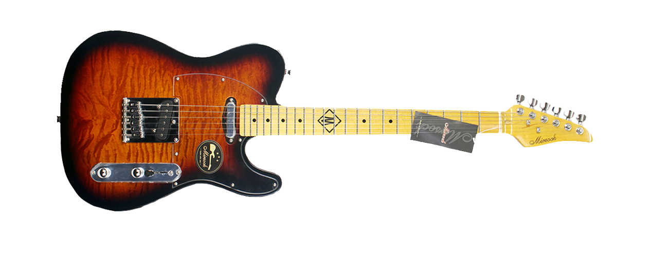 TL Style Electric Guitar